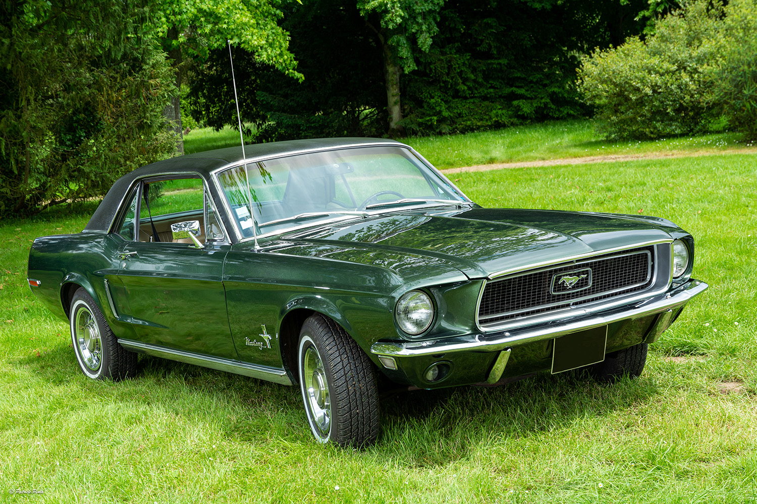 Coupé 1967 Dark Moss Green