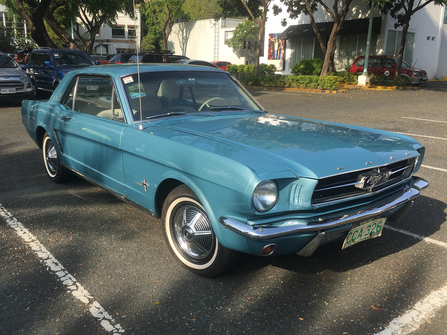 Coupé Dynasty Green 1965 